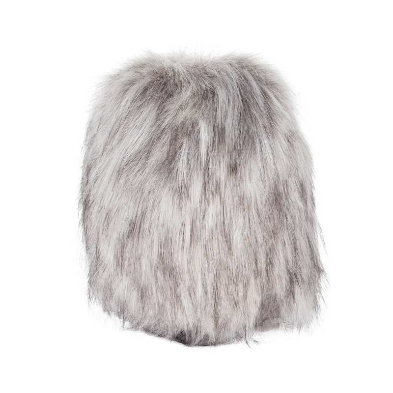 Windshield for ZYLIA ZM-1 | Zylia e-shop